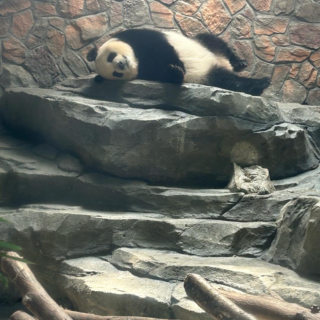 可可爱爱