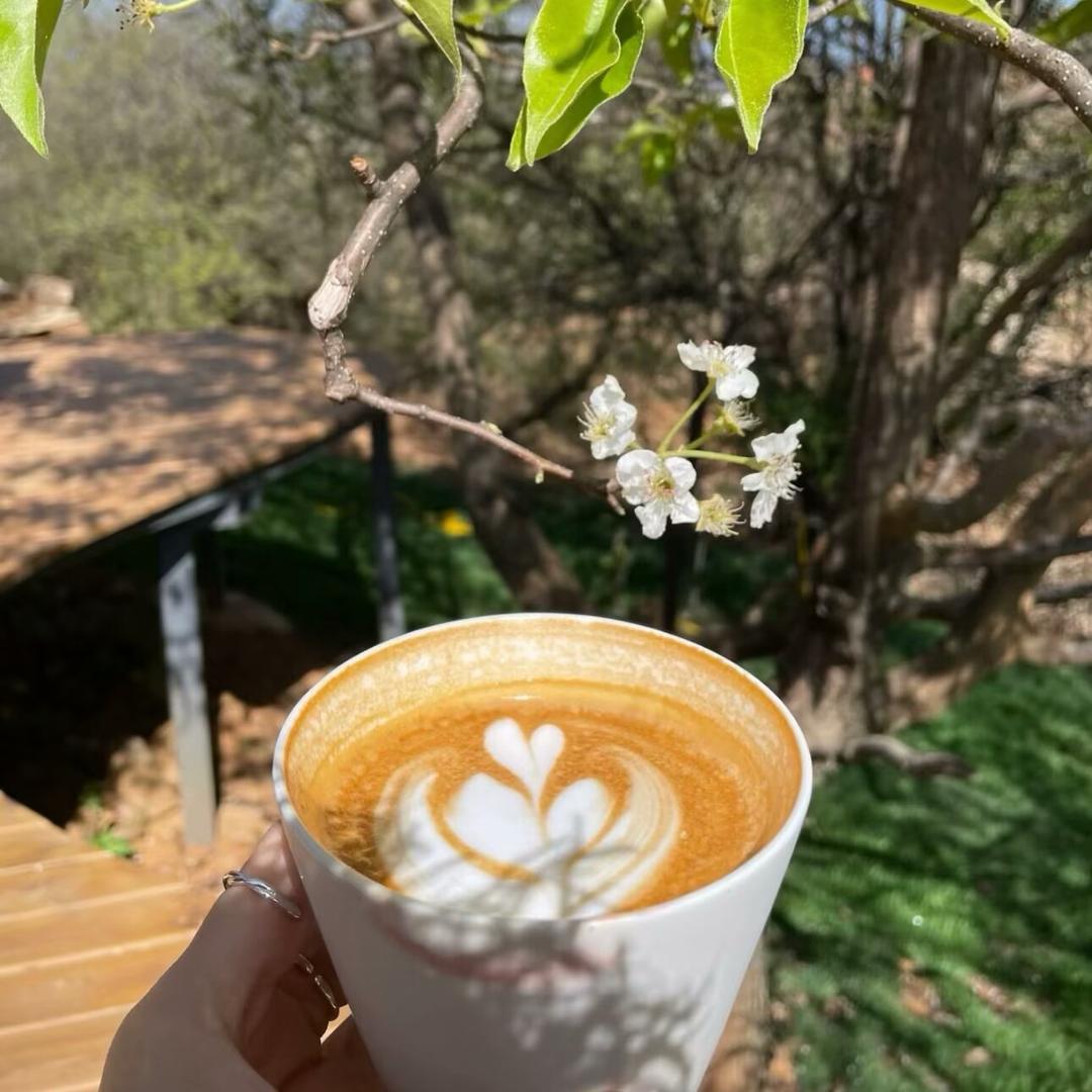 灿烂阳光☀️