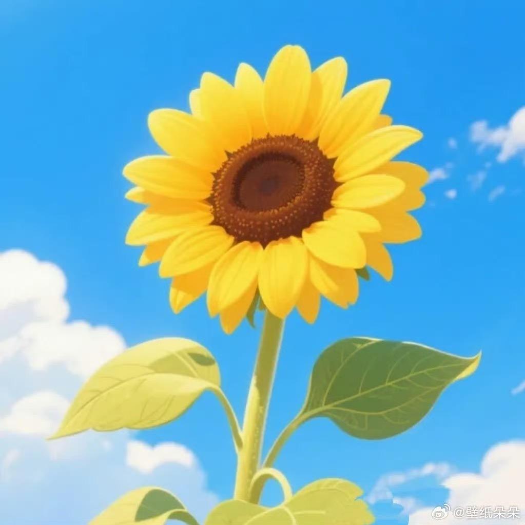 🌻袁滚滚