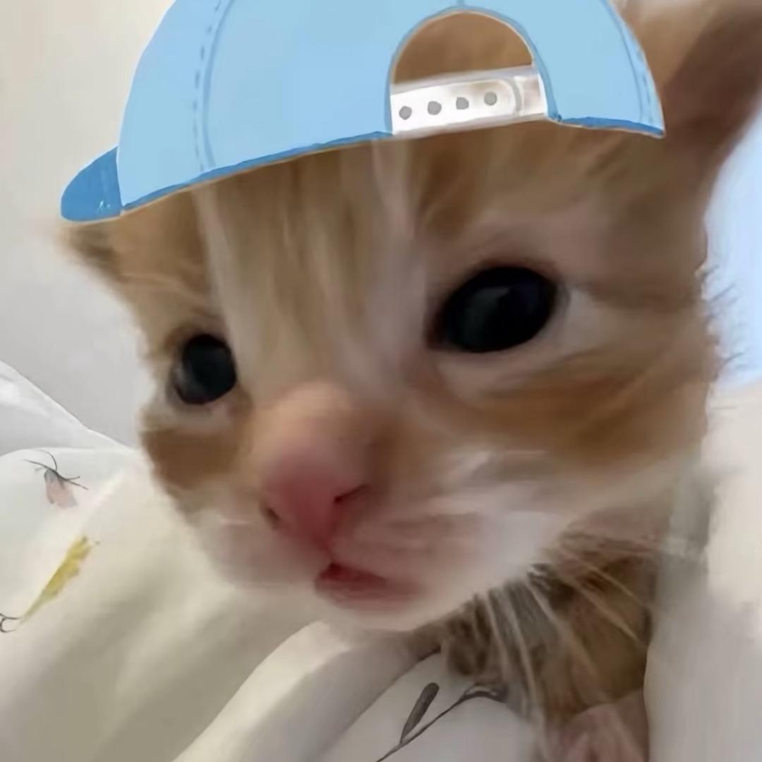 XIGUA西瓜大王