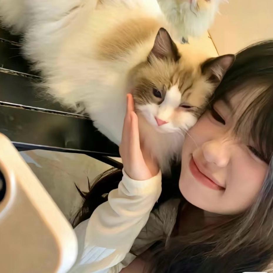 三级头暴打菠萝冰