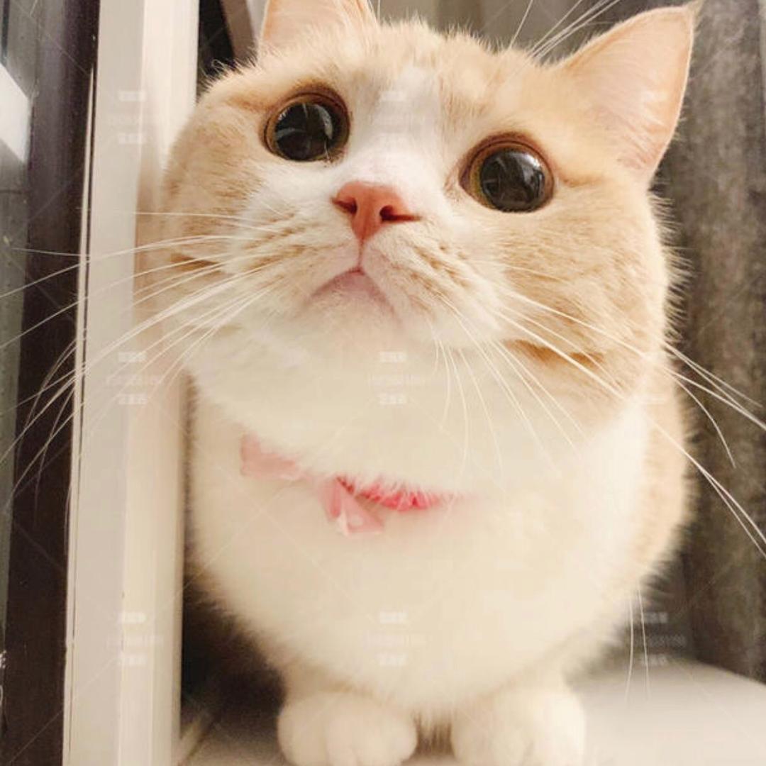 未来可期🤩