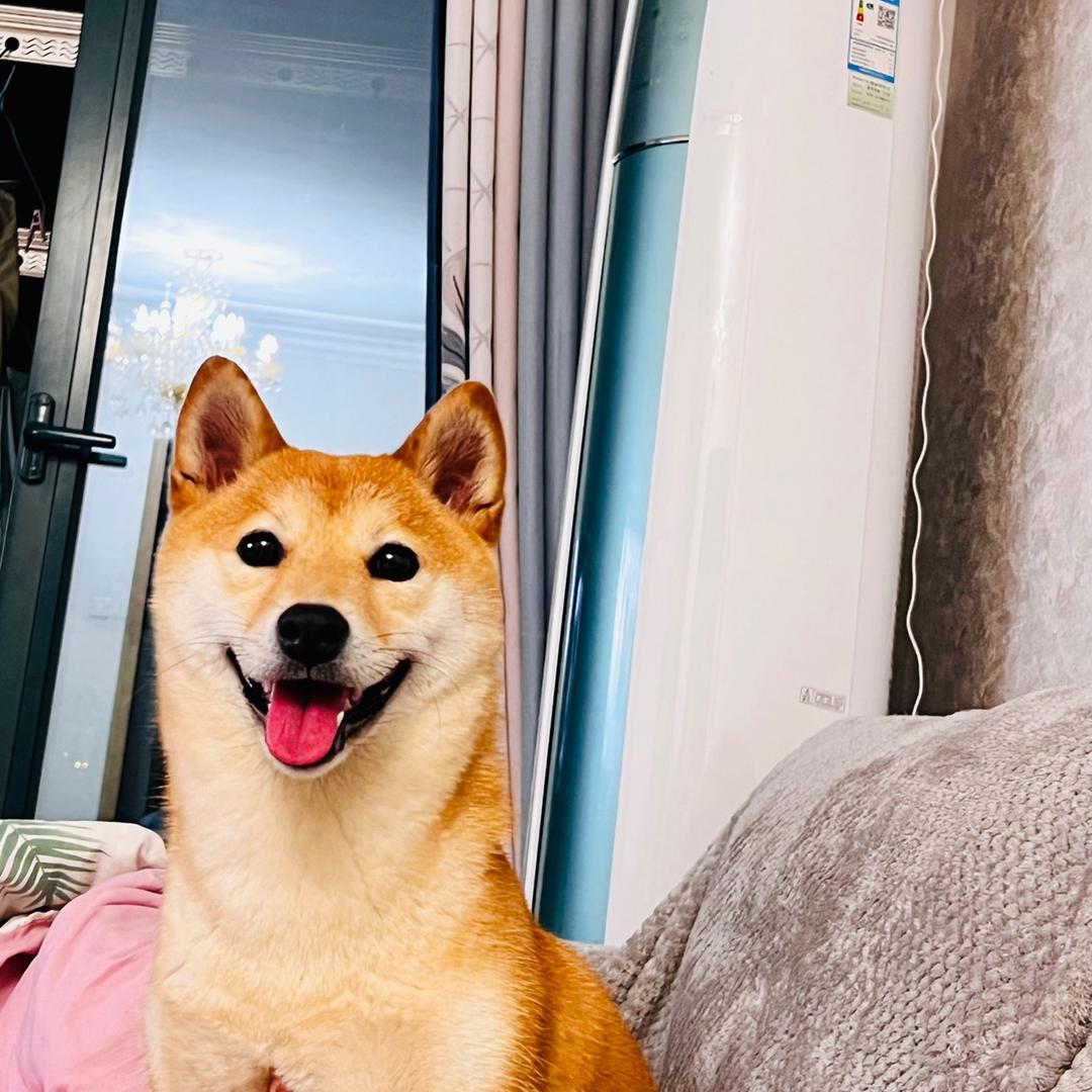 蜡笔小星🌟