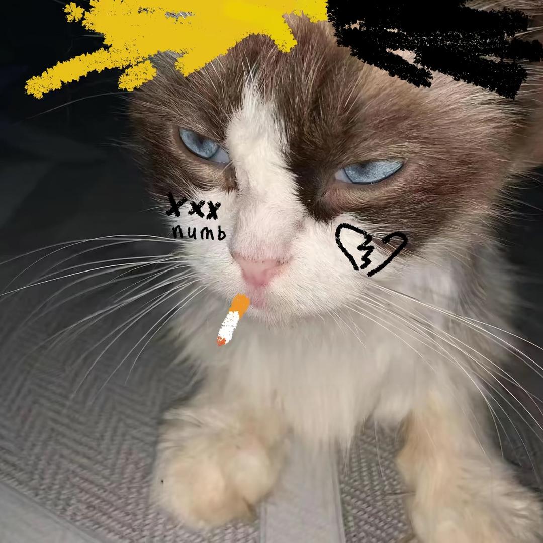 再e就去死