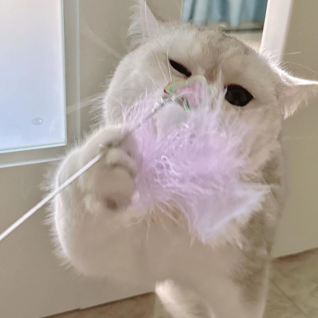 Xllxxyy_