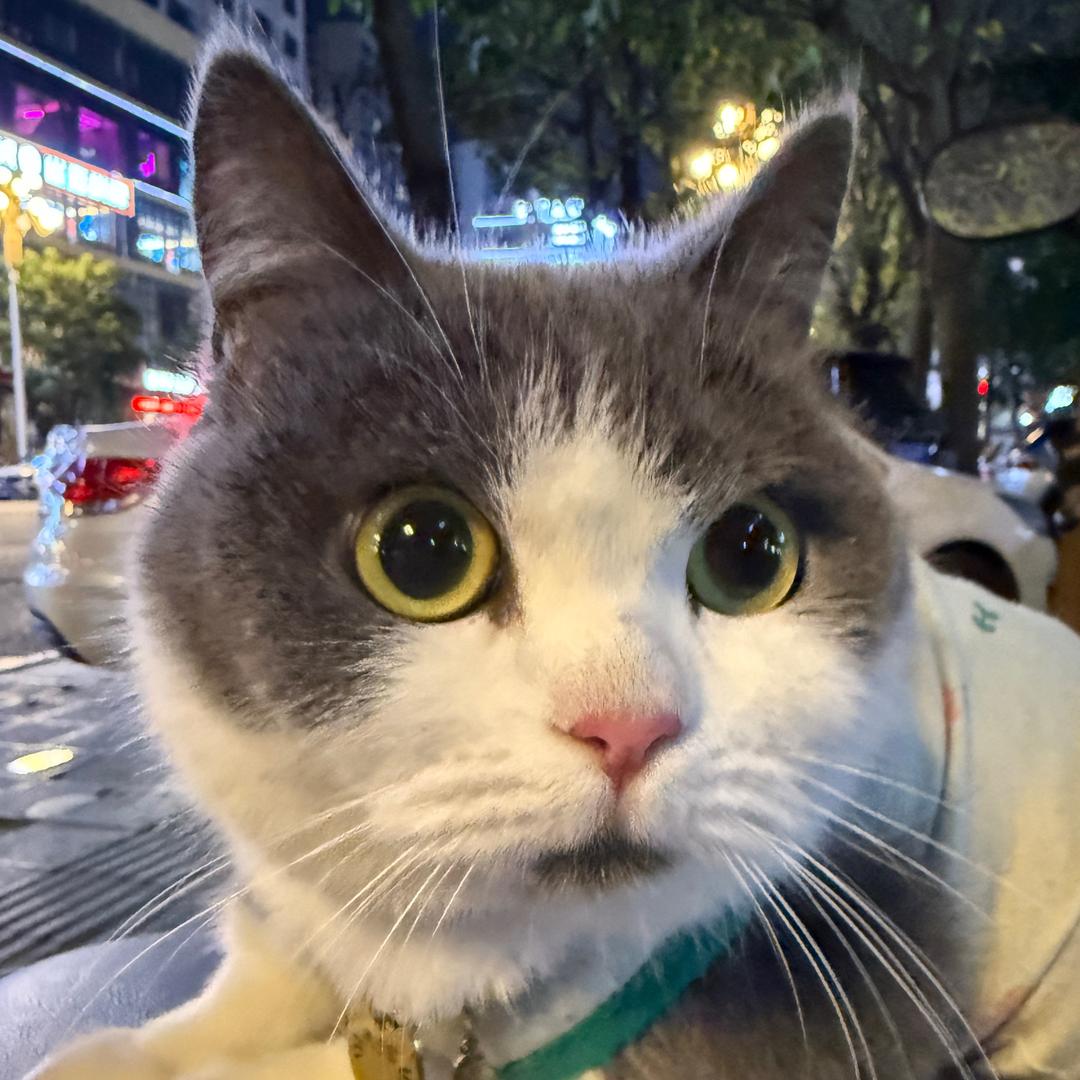 莱宝的麻麻