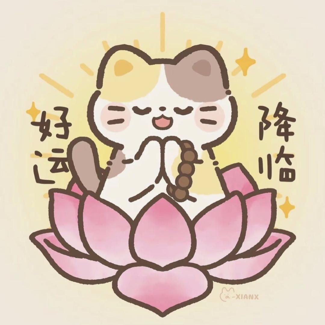 哈基咪大王🐈‍⬛