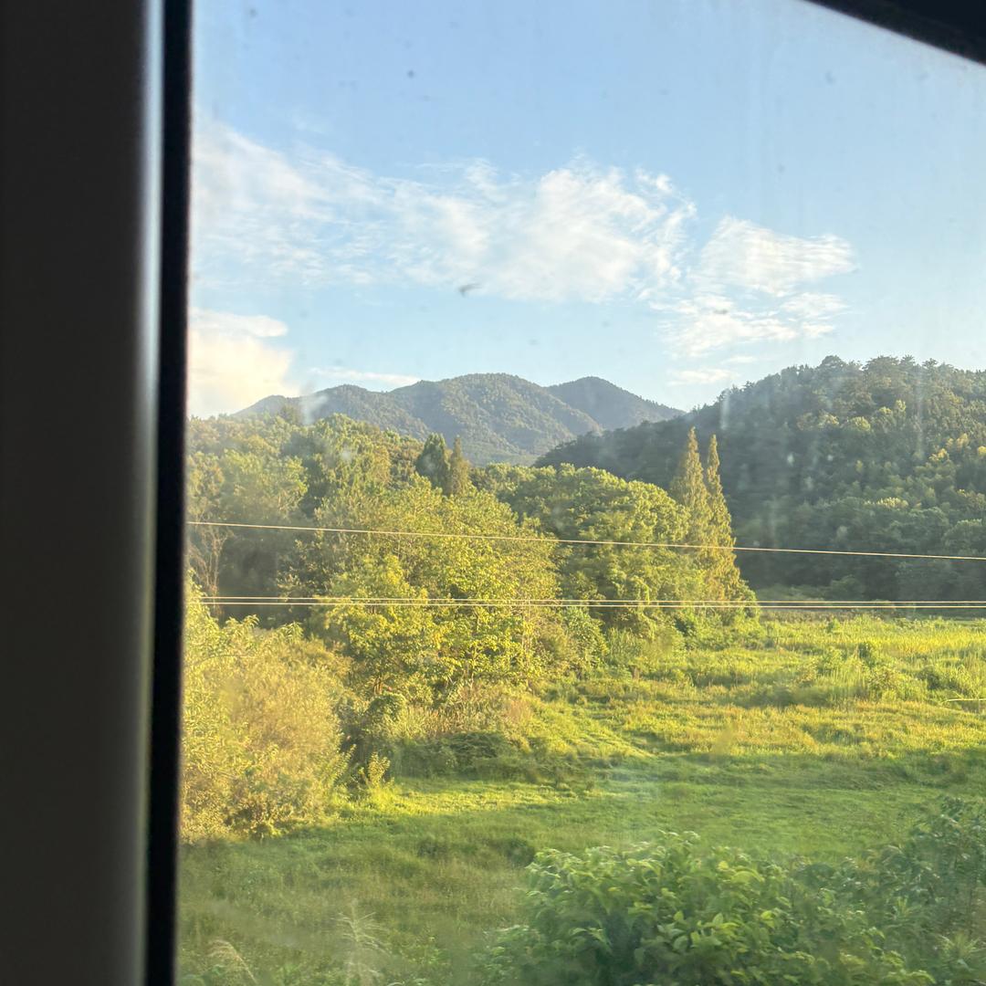 梨子升学历（中煊）