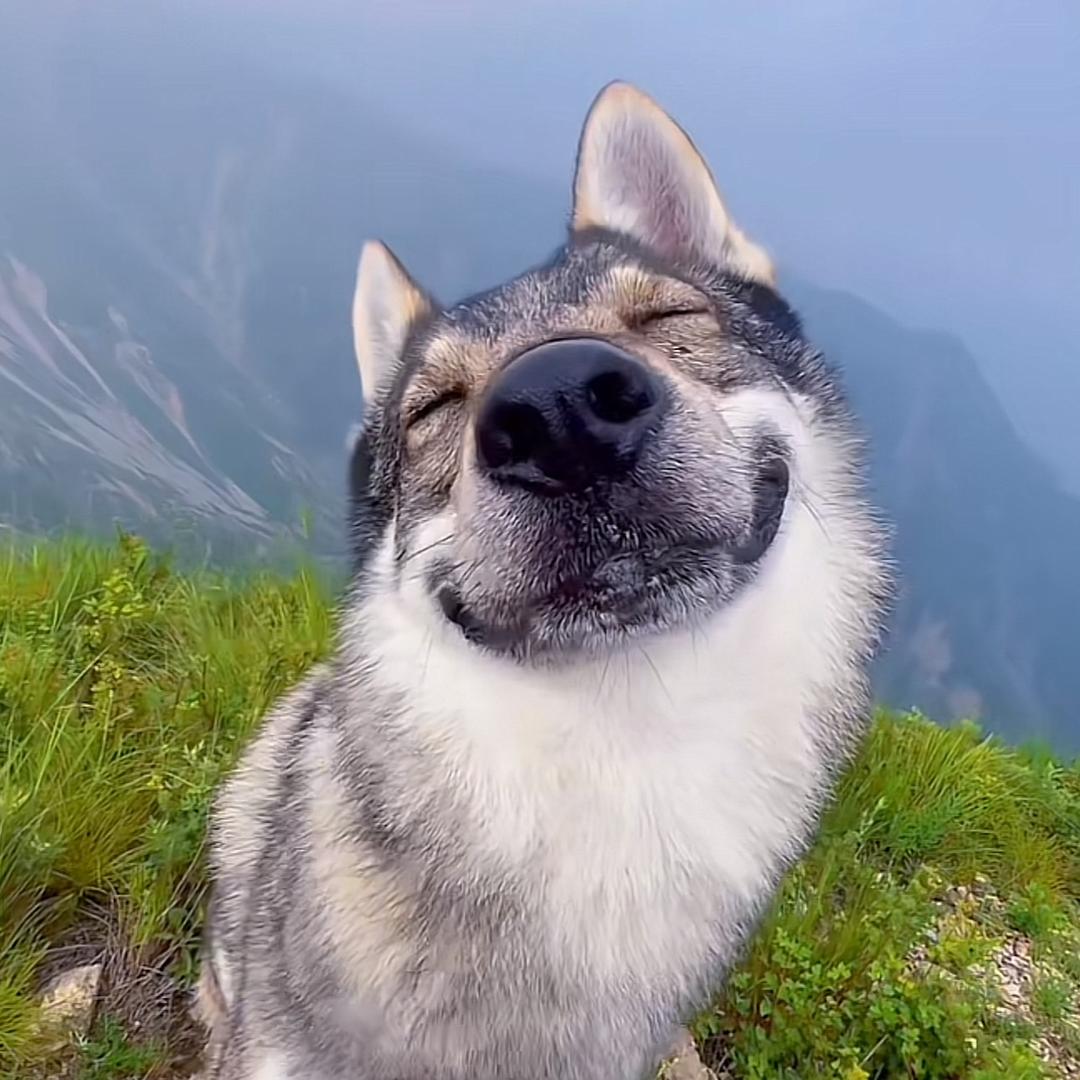 老黑每天都是大帅逼