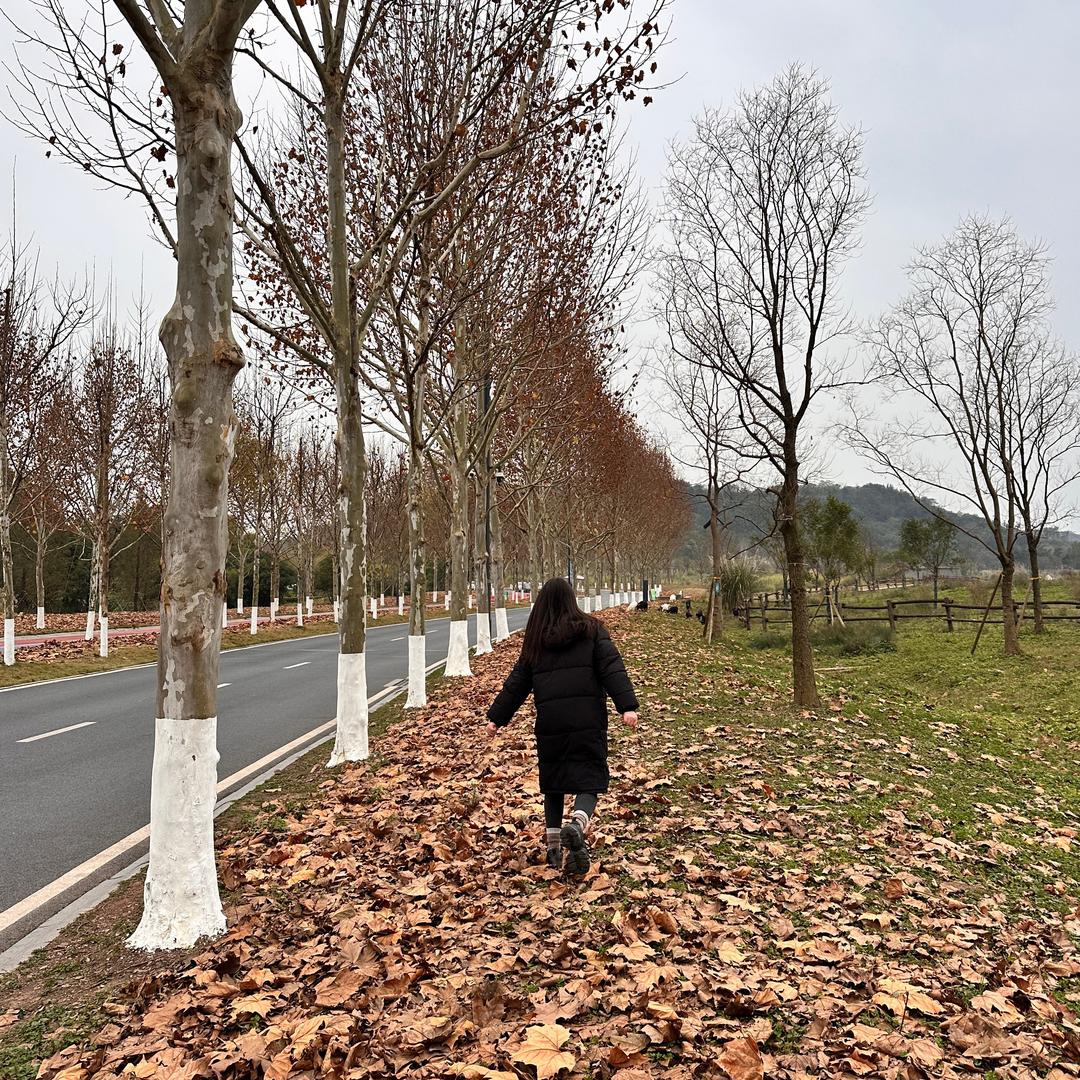 苦瓜奶茶不加糖
