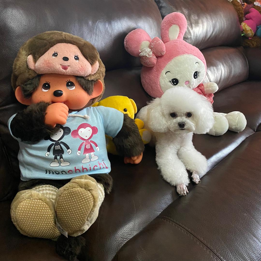 @卢姐（觅香烧烤&大斌家）