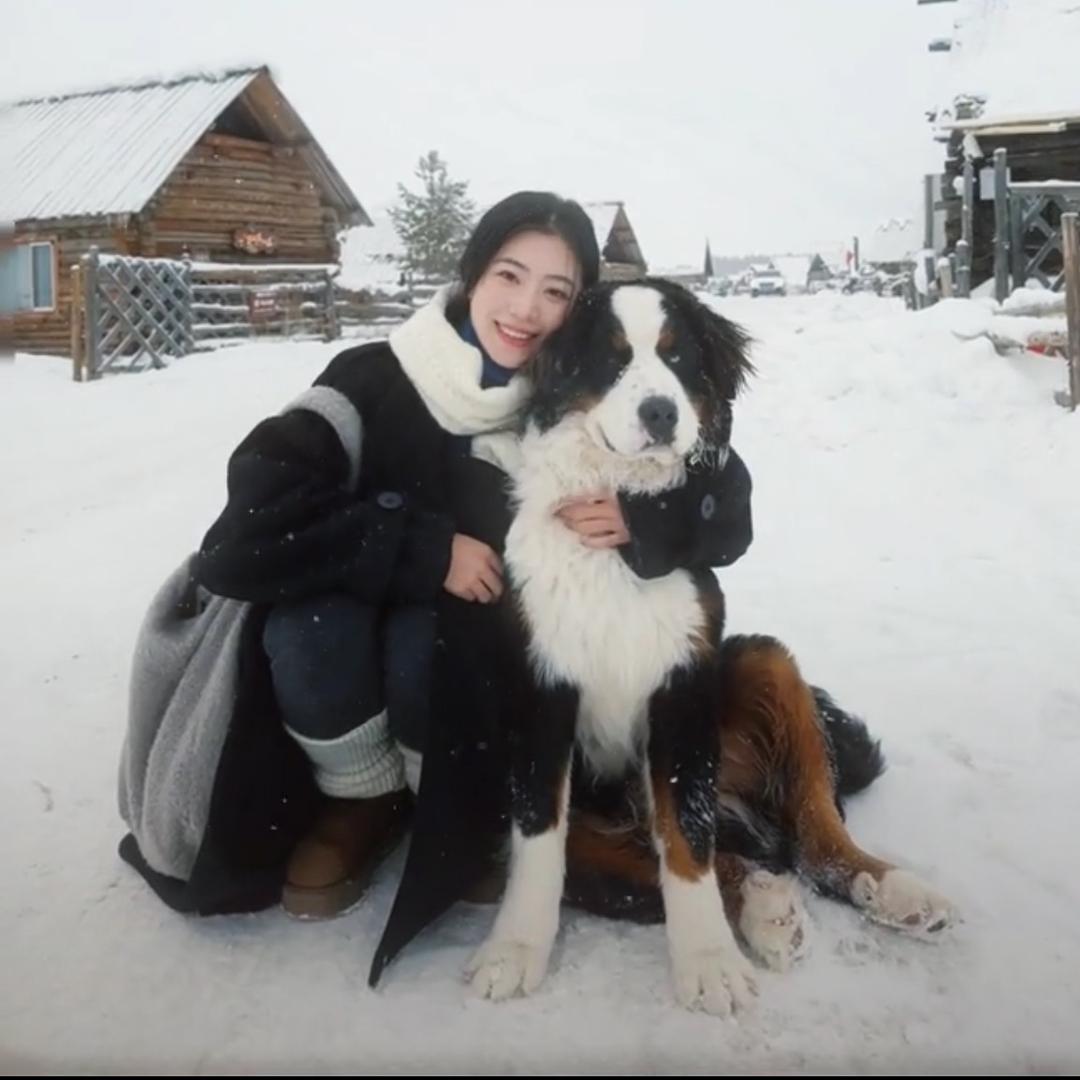 鹿鹿鹿～
