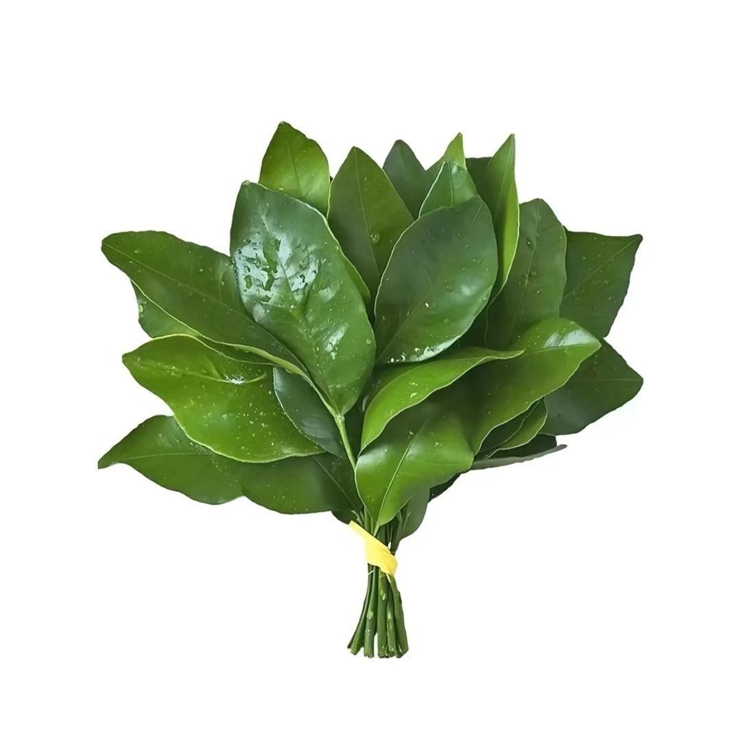 要瘦