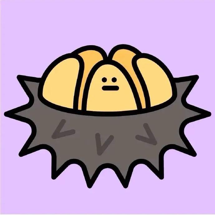 🌈爆炸头小海胆