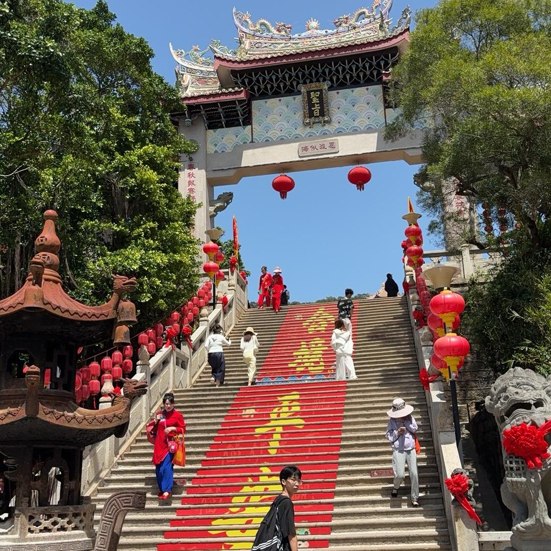 湄洲岛鱼很多