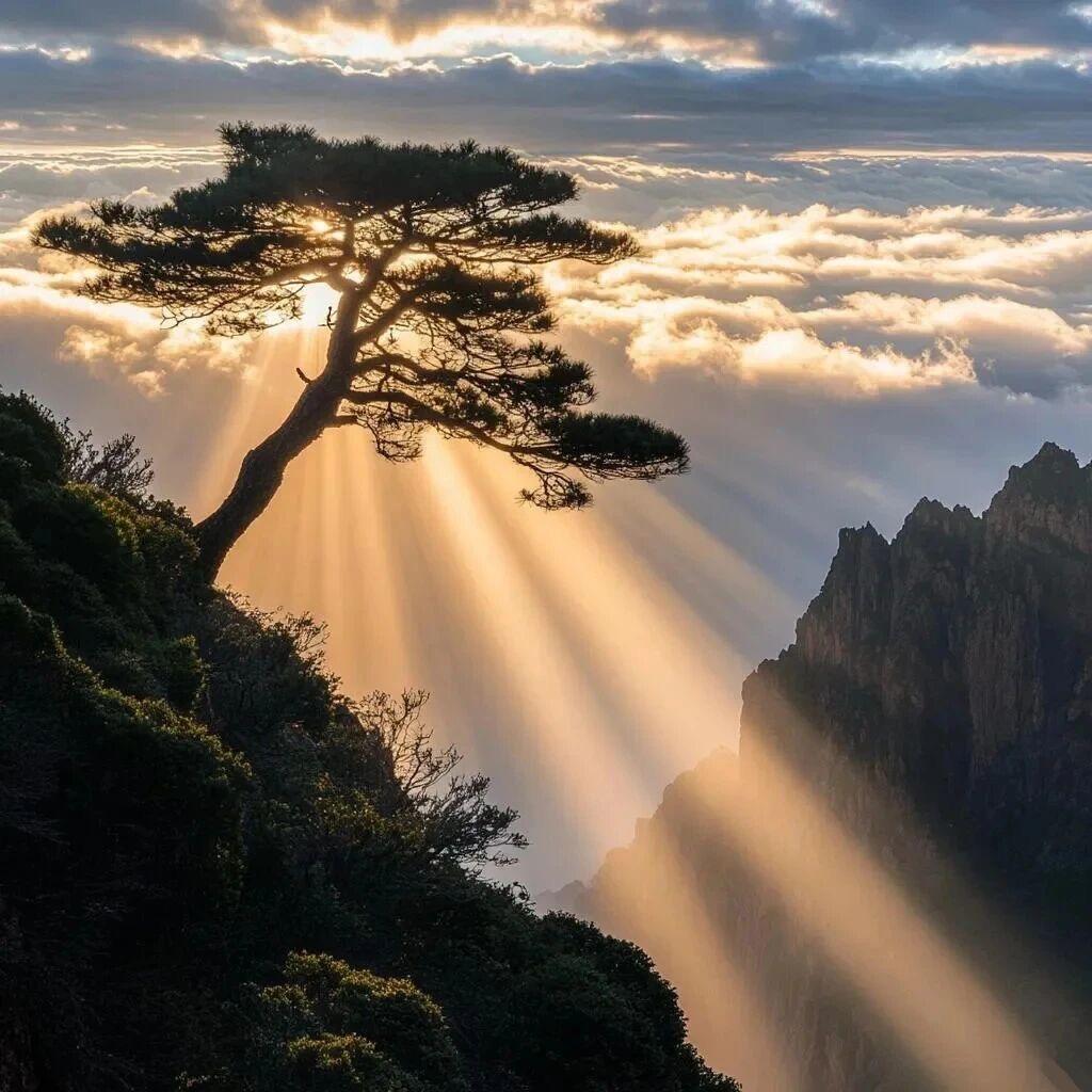 需要缘极限康复