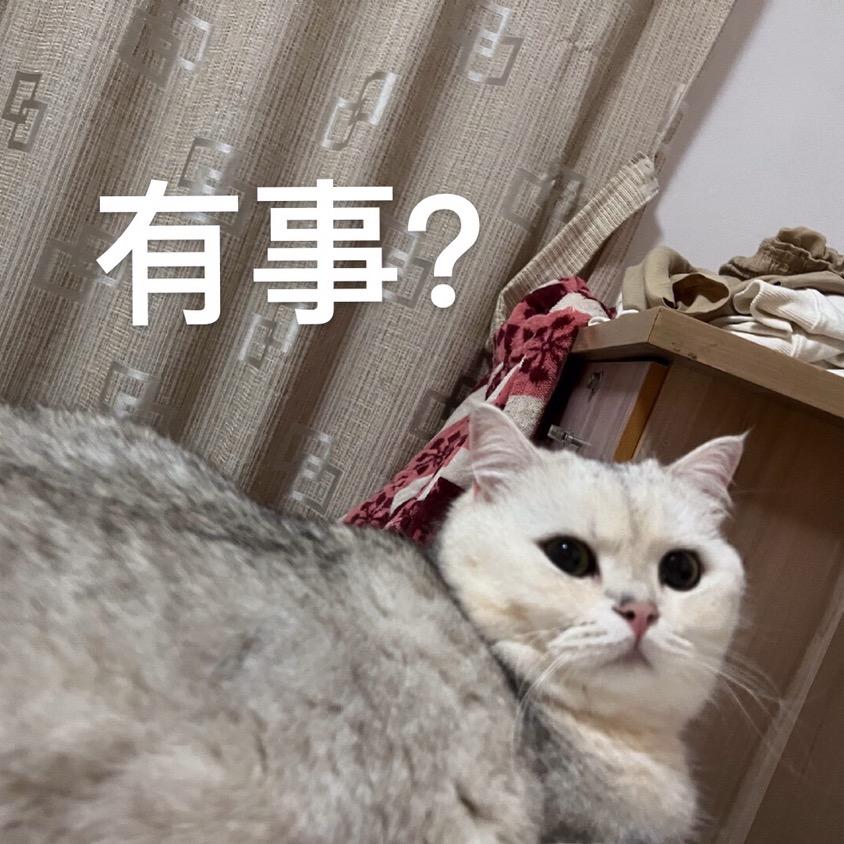 小小昀下士