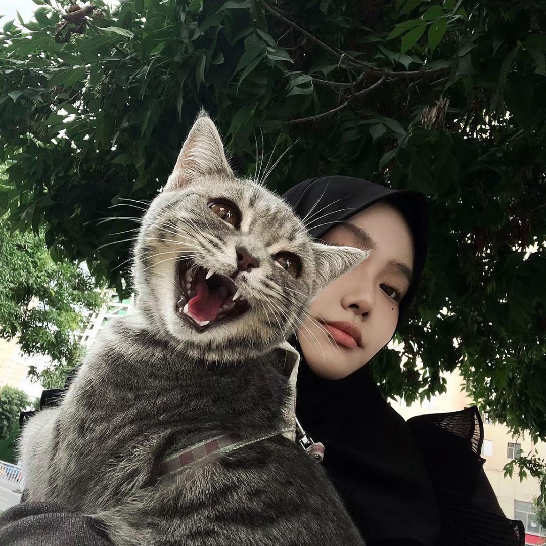 🕸️