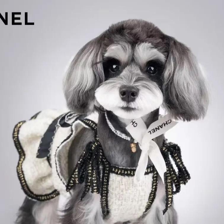 穿搭配饰无敌想象