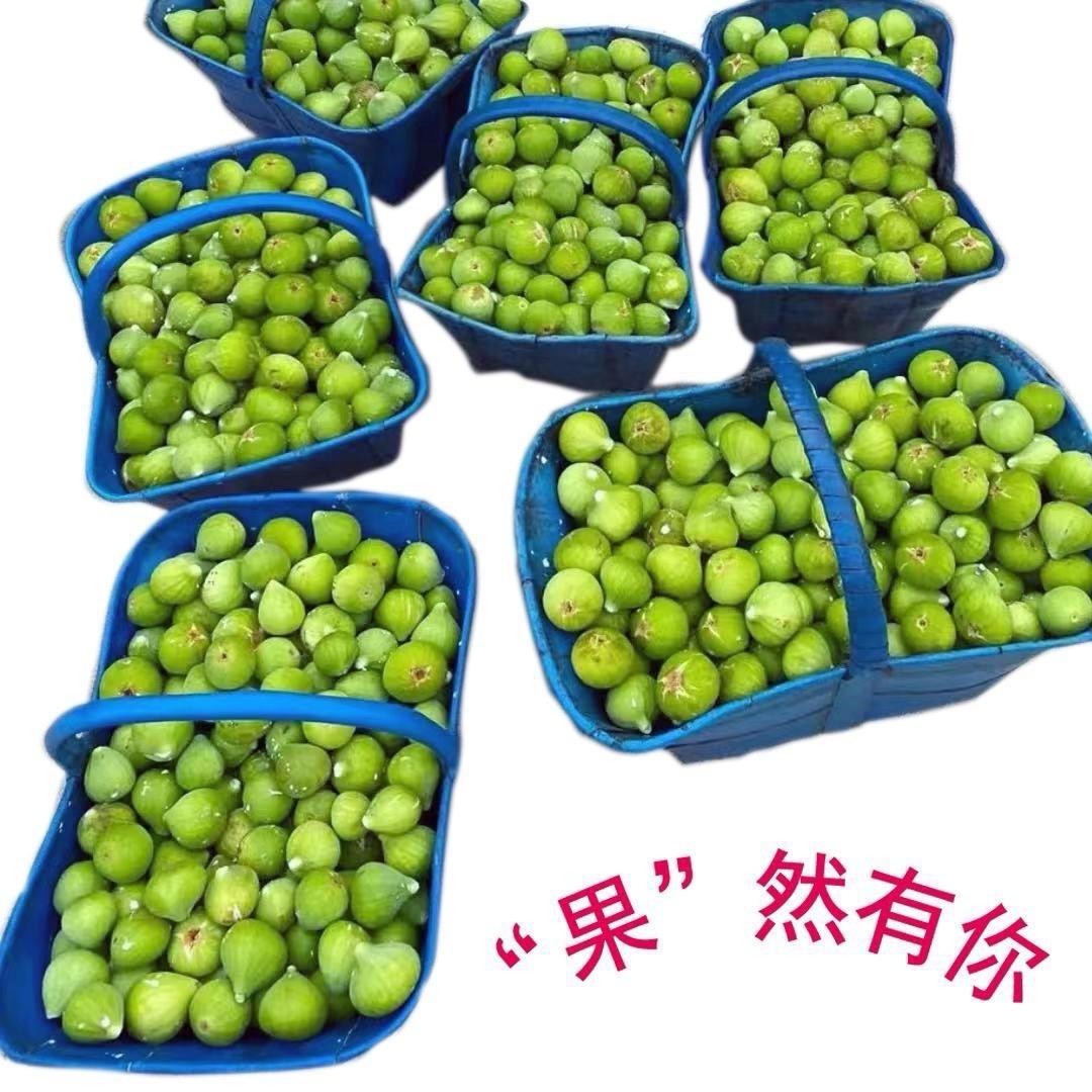 果然有你与众不同