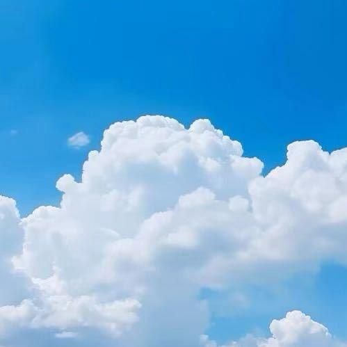 老马同学