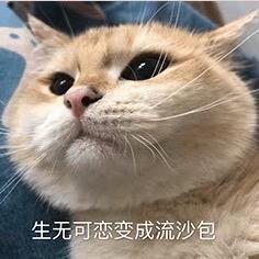 🌈🌈求锦鲤🌈