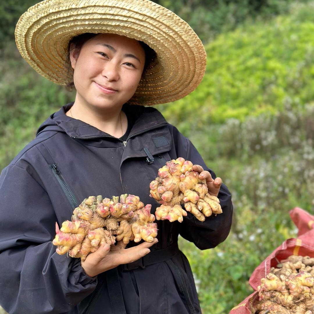云马生鲜果蔬