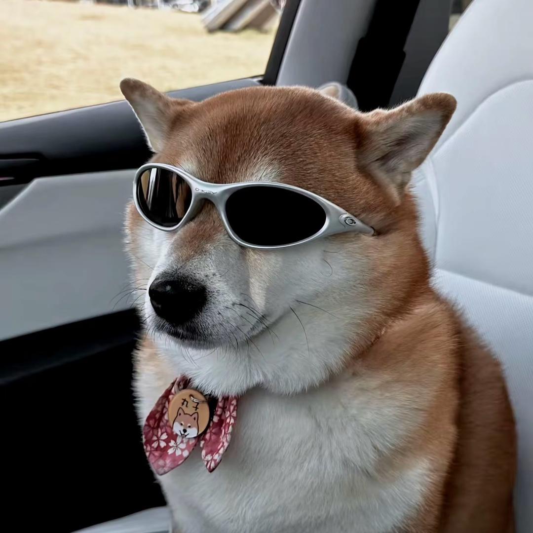 让我吃个鸡腿儿_xy