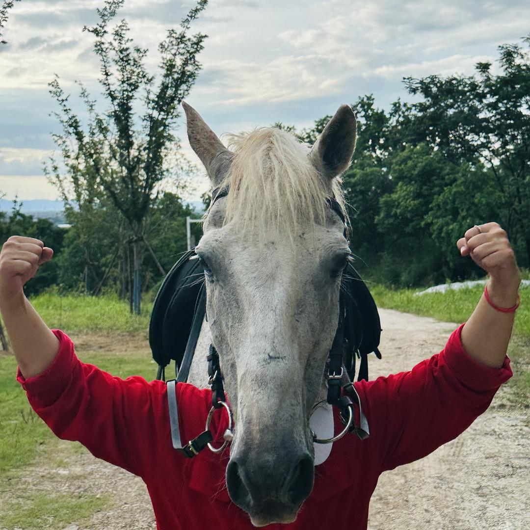 香草山上野骑俱乐部
