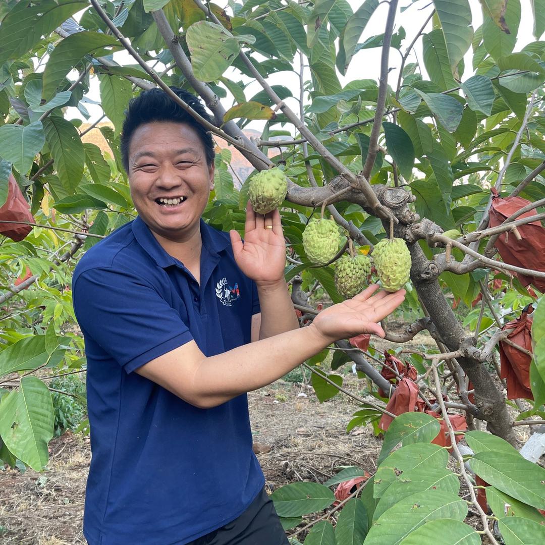 王果果