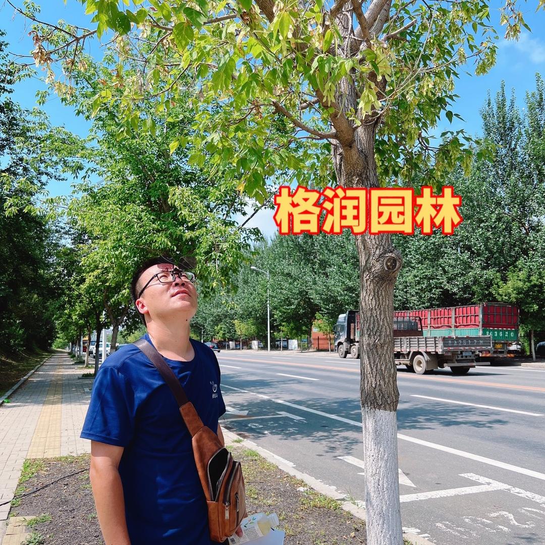 劳恩格润园林养护百晓生