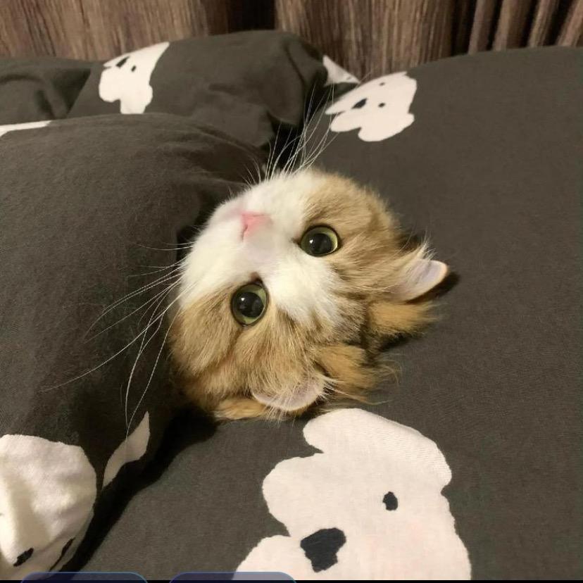默笙