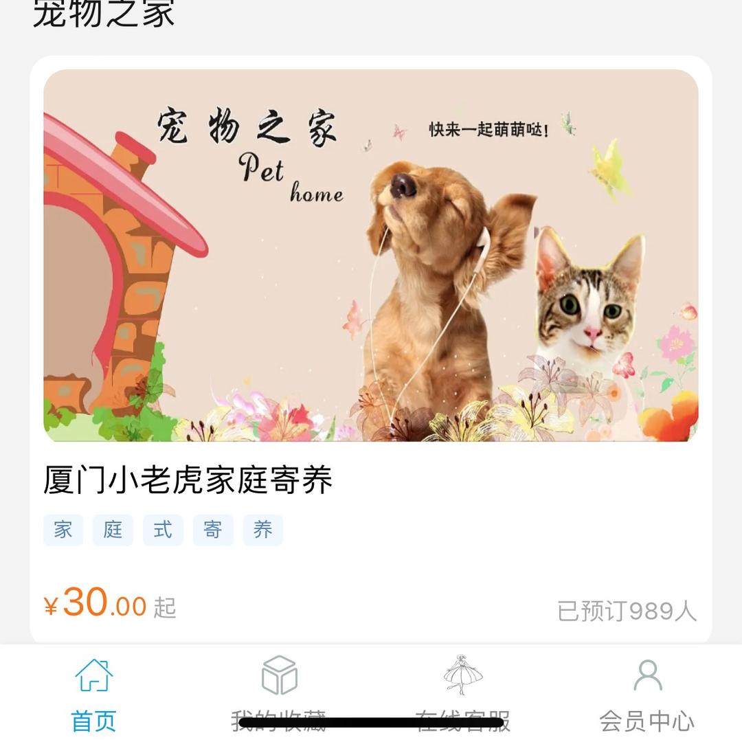 厦门小老虎家庭式寄养