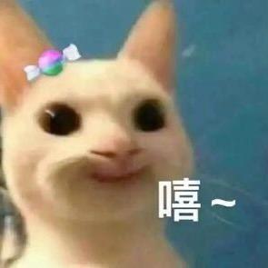 深夜烘焙周记