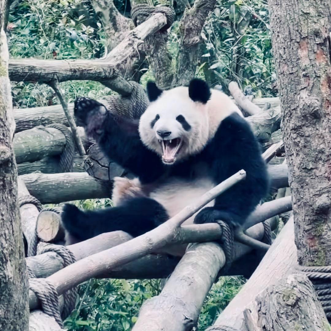 落榜艺术生