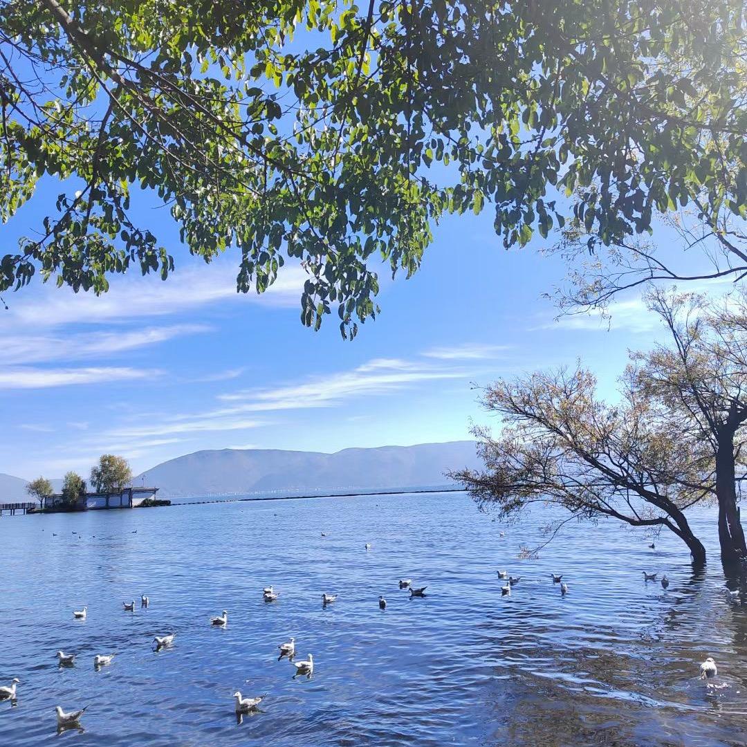 @AD钙奶🫧 🫧 🫧