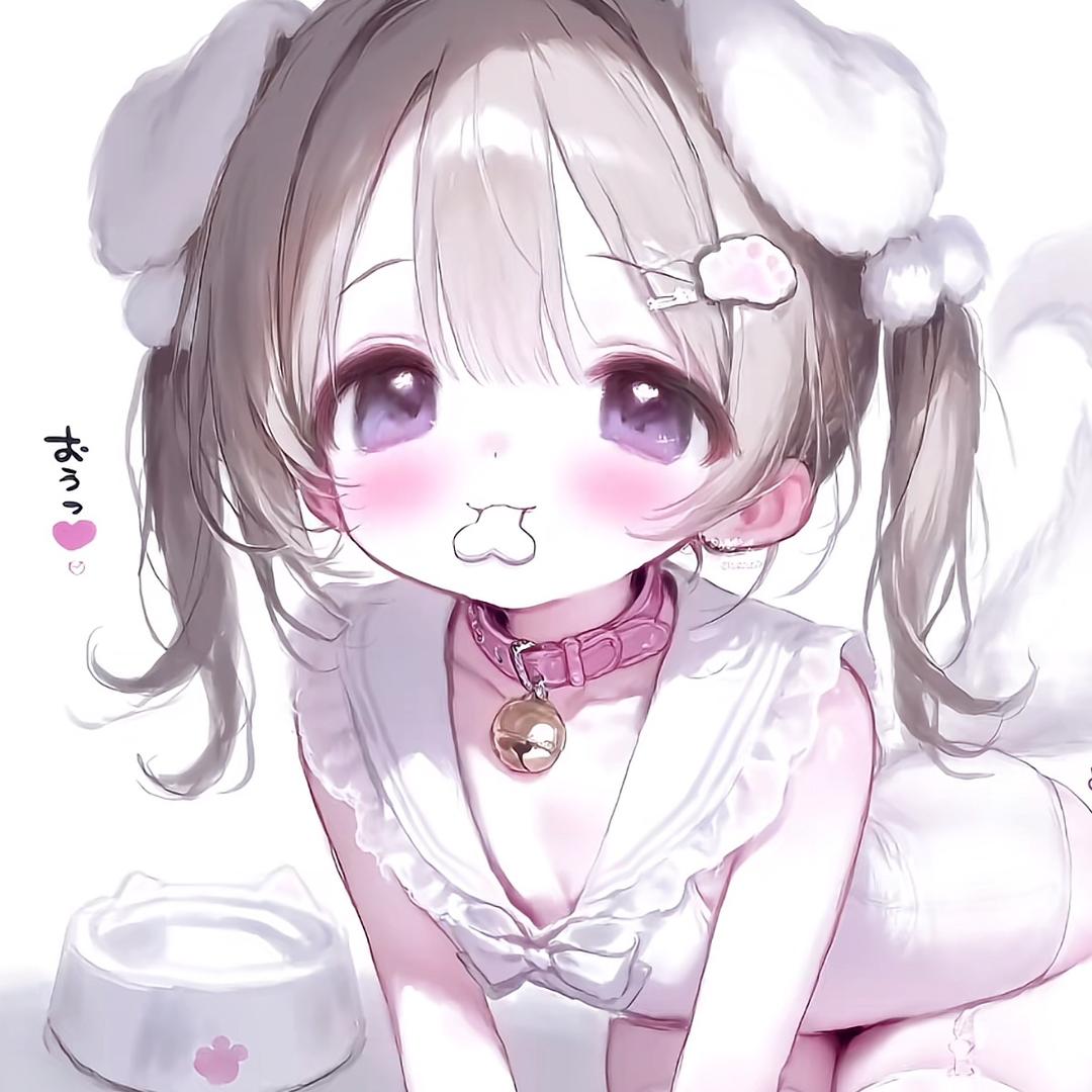 呆猫