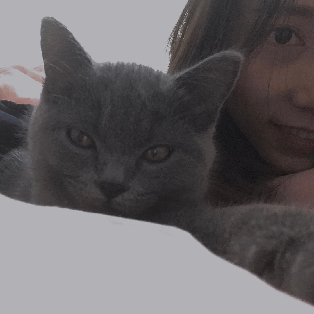 H柠檬🍋