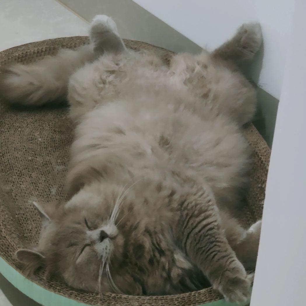 用户2415530410399