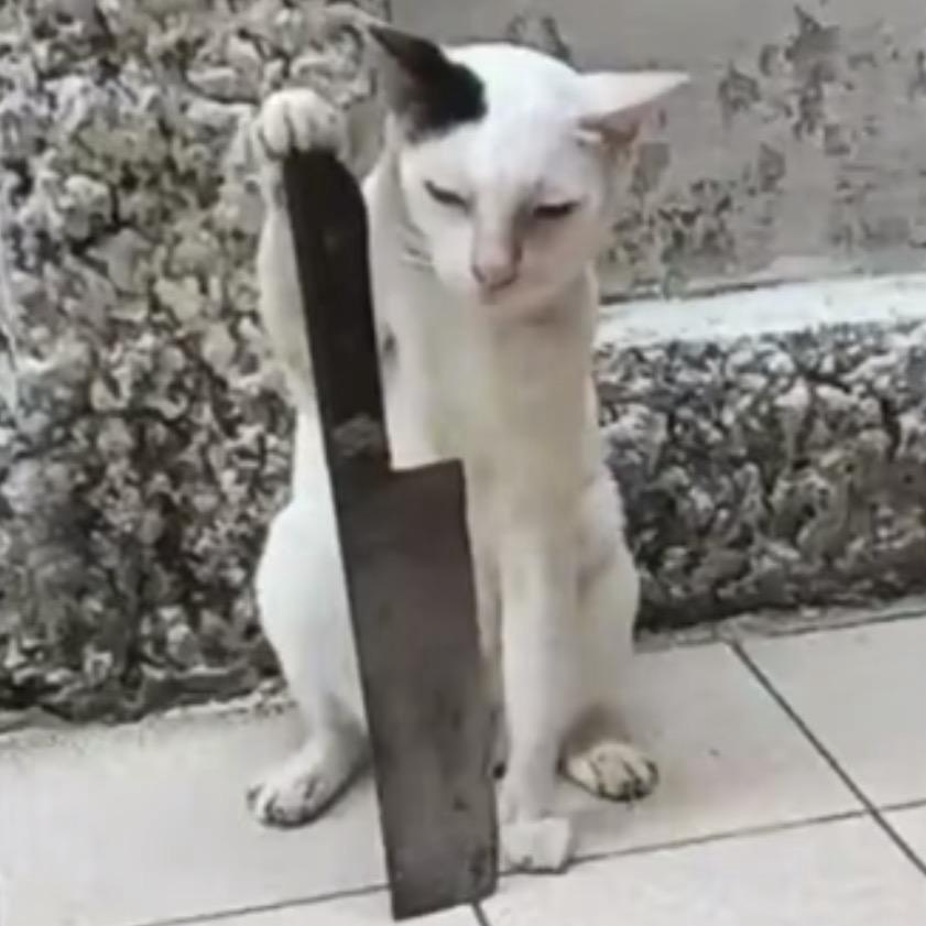 咲朕