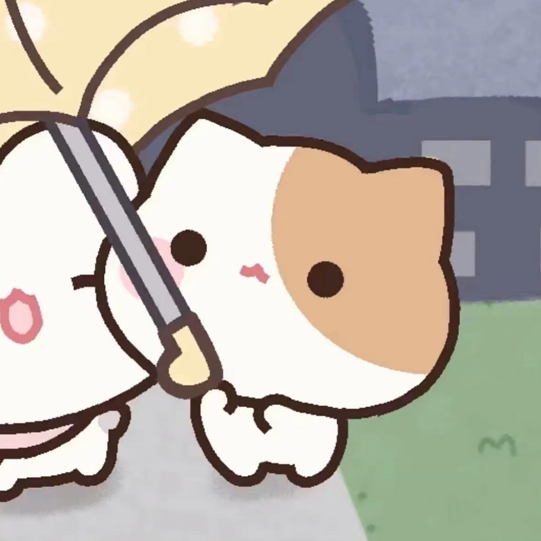 小狗猫粮