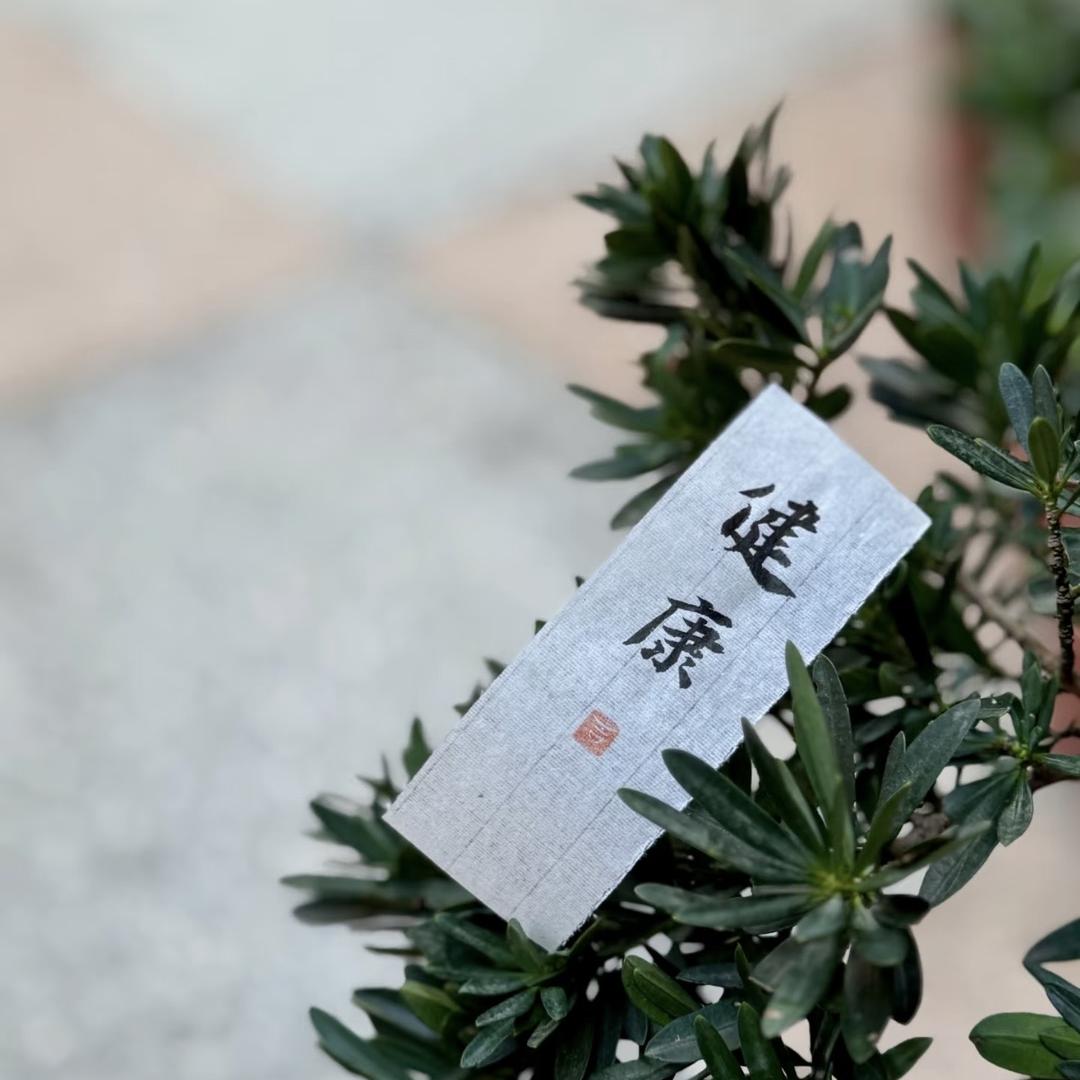 橙子说好物