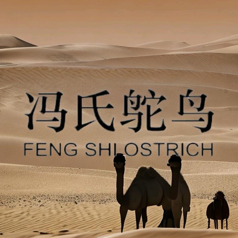 冯氏珍禽萌宠婆罗门鸡