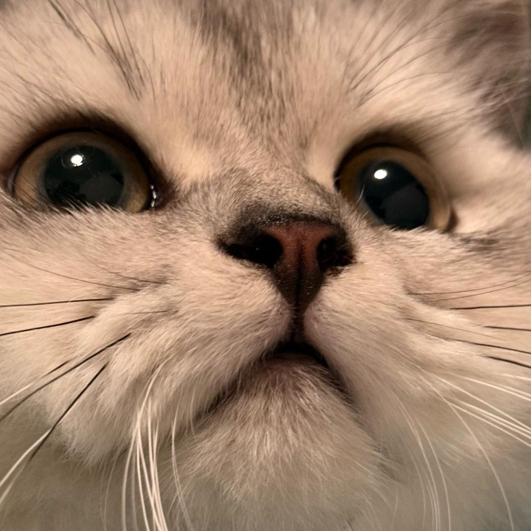 Dan.