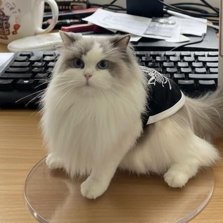 小小的我。
