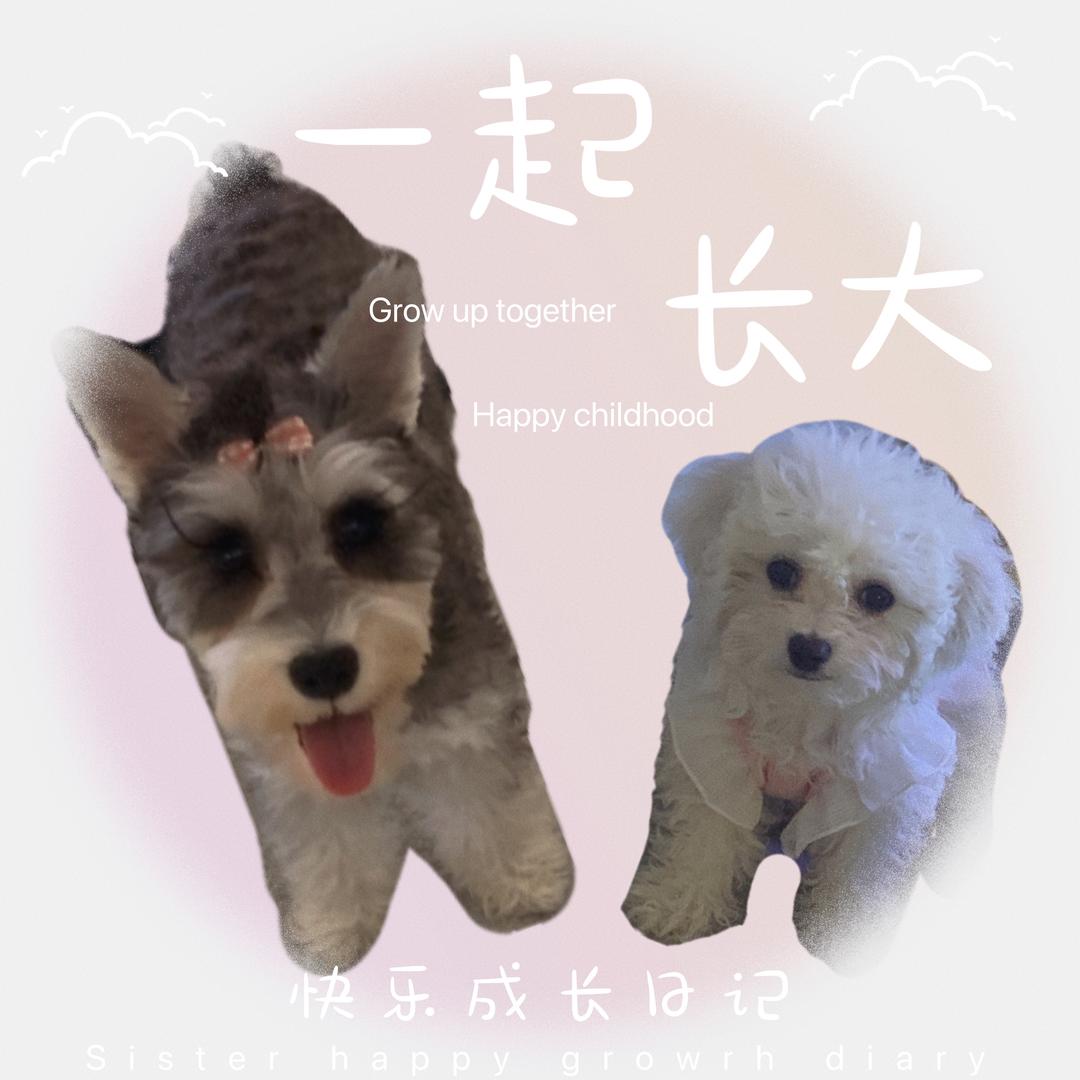 铮不错