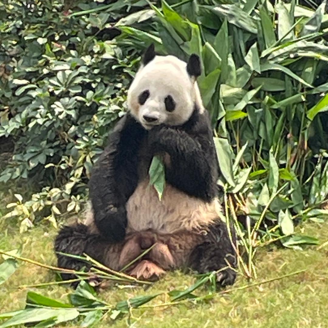 ꧁꫞꯭ 生活点滴记录 ꫞꧂