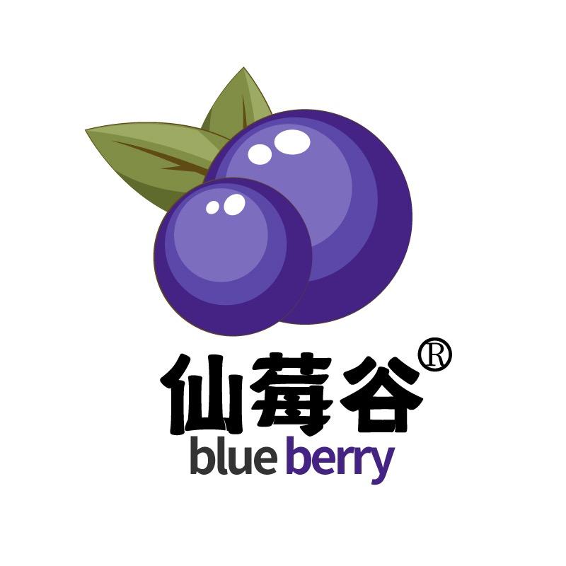 仙莓谷蓝莓