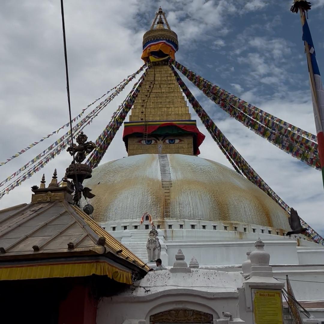 牛大力云游欧亚☁️🌟