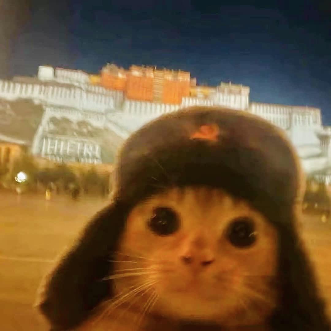 西门黑牛